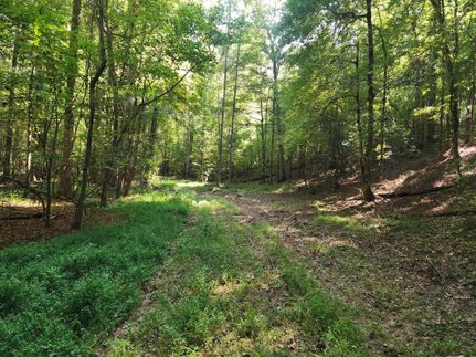 Recreational Property for sale in Jones County, Georgia