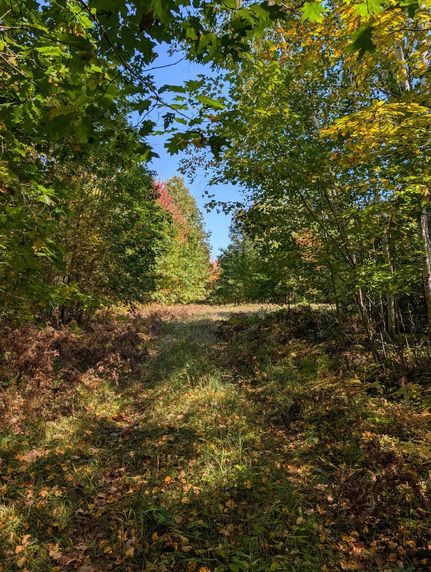 Land for sale in Bayfield County, Wisconsin