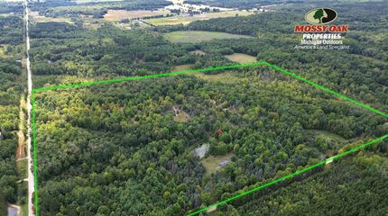 Undeveloped Land for sale in Lake County, Michigan