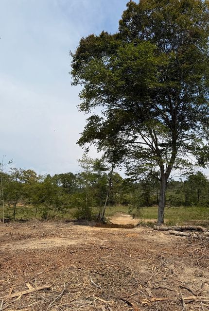 Farm and Ranch for sale in Webster County, Mississippi