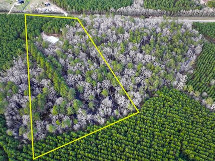 Timberland Property for sale in Polk County, Texas