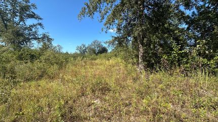 Land for sale in Screven County, Georgia