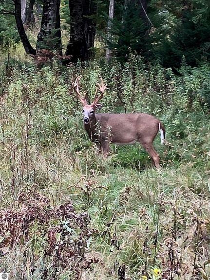 Recreational Property for sale in Leelanau County, Michigan