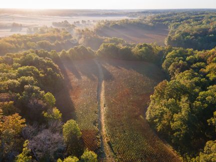 Timberland Property for sale in Shelby County, Missouri
