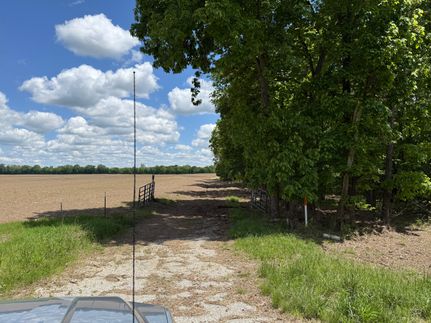Timberland Property in Pope County, Illinois