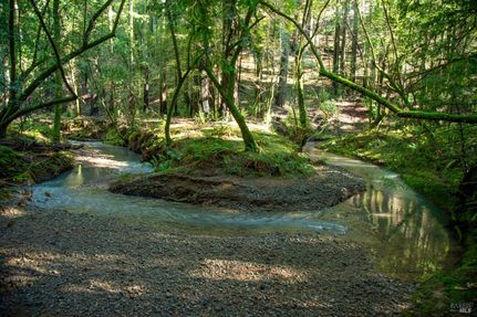 Timberland Property for sale in Sonoma County, California