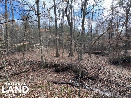Timberland Property for sale in Campbell County, Virginia