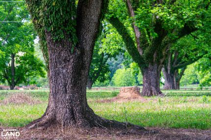 Undeveloped Land in Hinds County, Mississippi