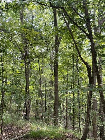 Recreational Property for sale in Claiborne County, Mississippi