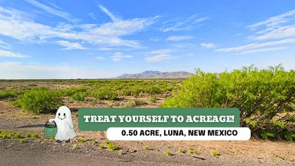 Undeveloped Land for sale in Luna County, New Mexico