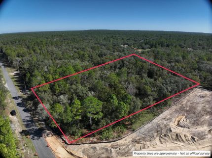 Undeveloped Land for sale in Citrus County, Florida