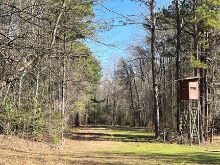 Recreational Property for sale in Fayette County, Alabama