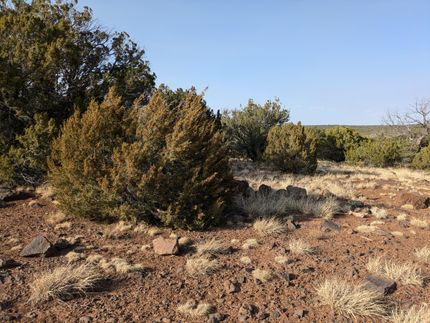 Hunting Property for sale in Apache County, Arizona