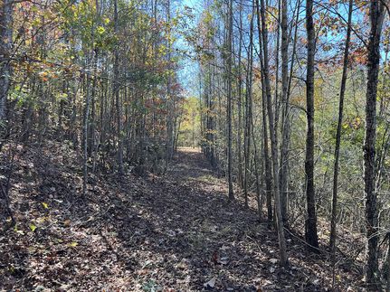 Land for sale in Coosa County, Alabama