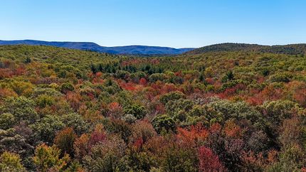 Commercial Property for sale in Ulster County, New York