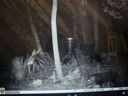 Land for sale in Avoyelles Parish, Louisiana