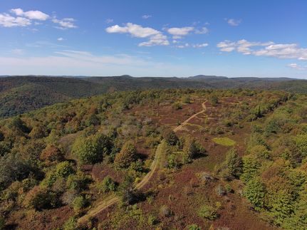 Riverfront Property for sale in Pendleton County, West Virginia