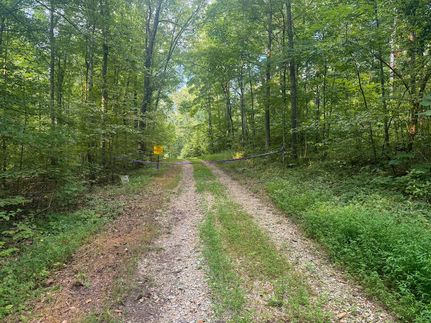 Land for sale in Bollinger County, Missouri