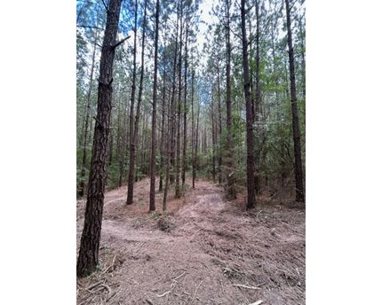 Undeveloped Land for sale in Simpson County, Mississippi