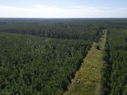Timberland Property for sale in Washington County, Alabama