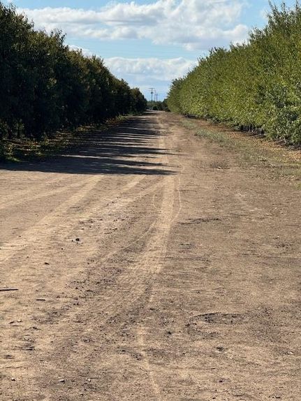 Land for sale in Sutter County, California