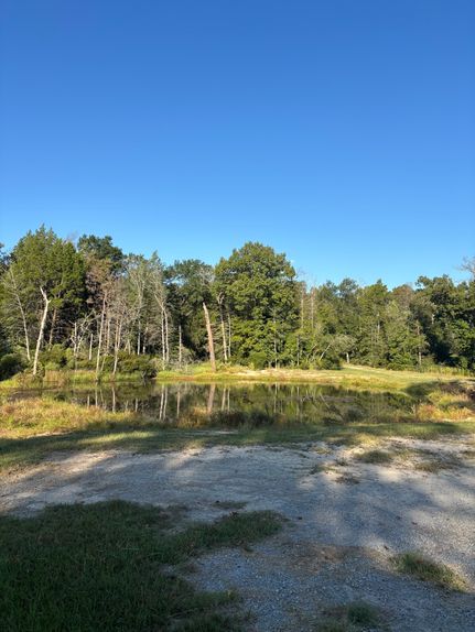 Timberland Property for sale in Leon County, Texas
