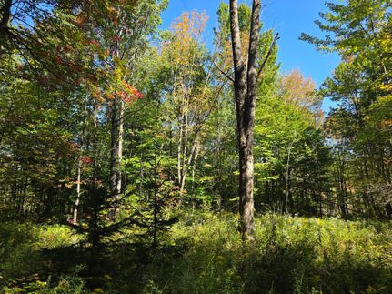 Land for sale in Oneida County, New York