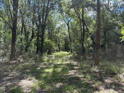 Undeveloped Land for sale in Marion County, Florida