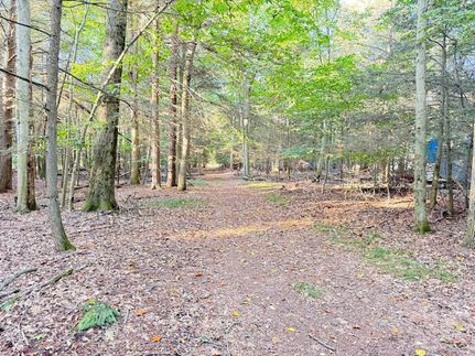 Horse Property for sale in Oceana County, Michigan