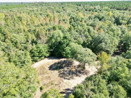 Farm and Ranch for sale in Randolph County, Georgia