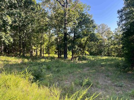 Undeveloped Land for sale in Cleburne County, Arkansas