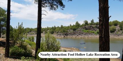 Timberland Property for sale in Apache County, Arizona