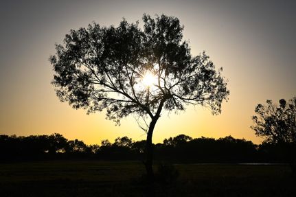 Hunting Property for sale in Frio County, Texas