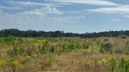 Timberland Property for sale in Screven County, Georgia