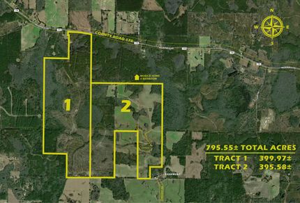Timberland Property in Washington County, Florida