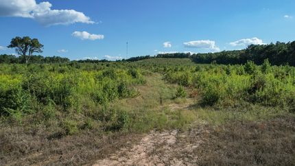 Land for sale in Cass County, Texas