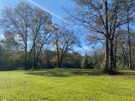 Recreational Property for sale in Covington County, Alabama