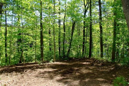 Timberland Property for sale in Price County, Wisconsin