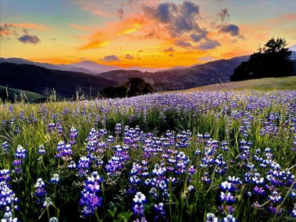 Recreational Property for sale in Humboldt County, California