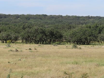 Commercial Property for sale in Menard County, Texas
