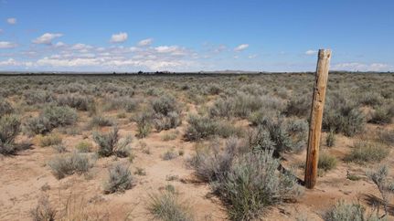 Undeveloped Land for sale in Valencia County, New Mexico