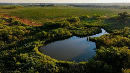 Farm and Ranch for sale in Young County, Texas