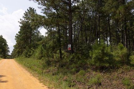 Timberland Property for sale in Glascock County, Georgia