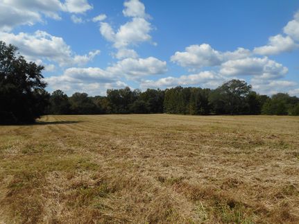 Land for sale in Yazoo County, Mississippi