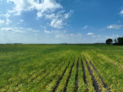 Farm and Ranch for sale in Swift County, Minnesota