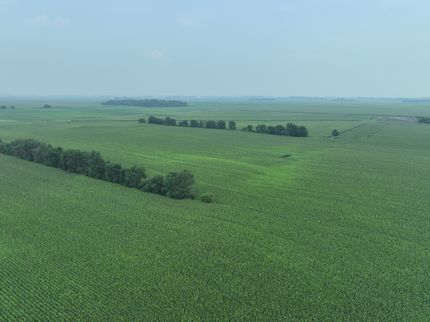 Farm and Ranch for sale in Lac qui Parle County, Minnesota