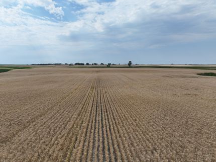 Farm and Ranch for sale in Ward County, North Dakota