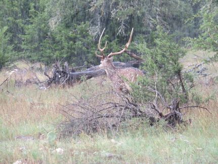 Recreational Property for sale in Kimble County, Texas
