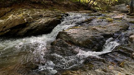 Hunting Property for sale in Wilkes County, North Carolina