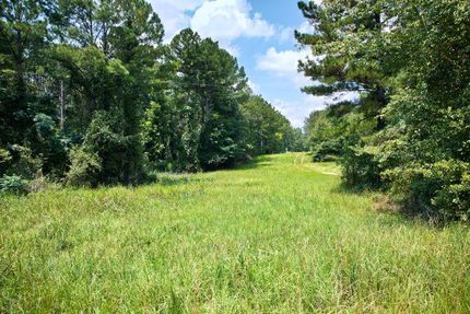 Undeveloped Land for sale in Glascock County, Georgia